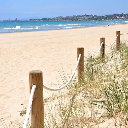 Palmeras