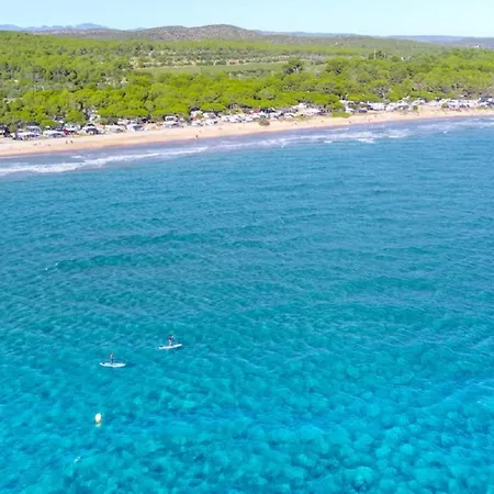 Palmeras