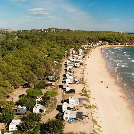 Palmeras Camping