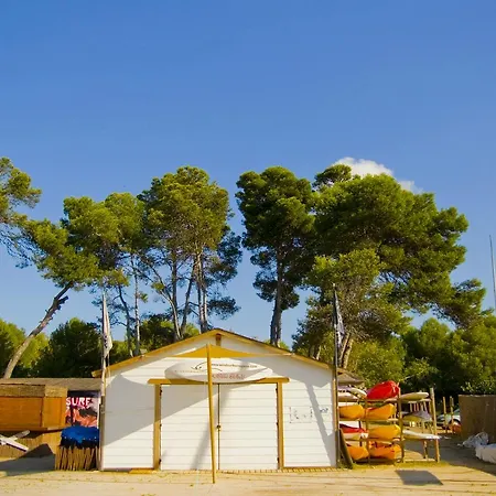 Palmeras Camping