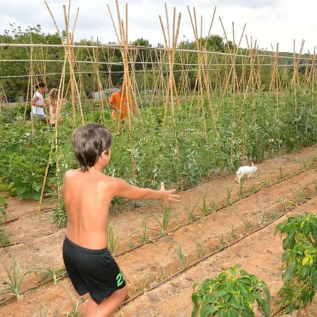 Campsite Palmeras Tarragona
