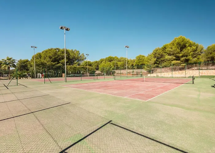 אתר קמפינג Palmeras