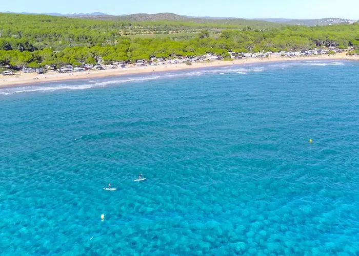 Palmeras