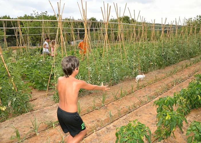 אתר קמפינג Palmeras טראגונה